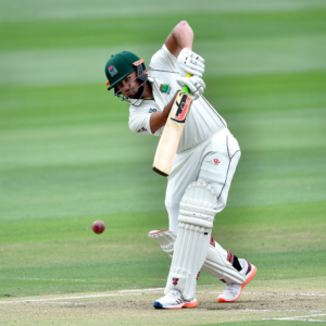 cricket Image